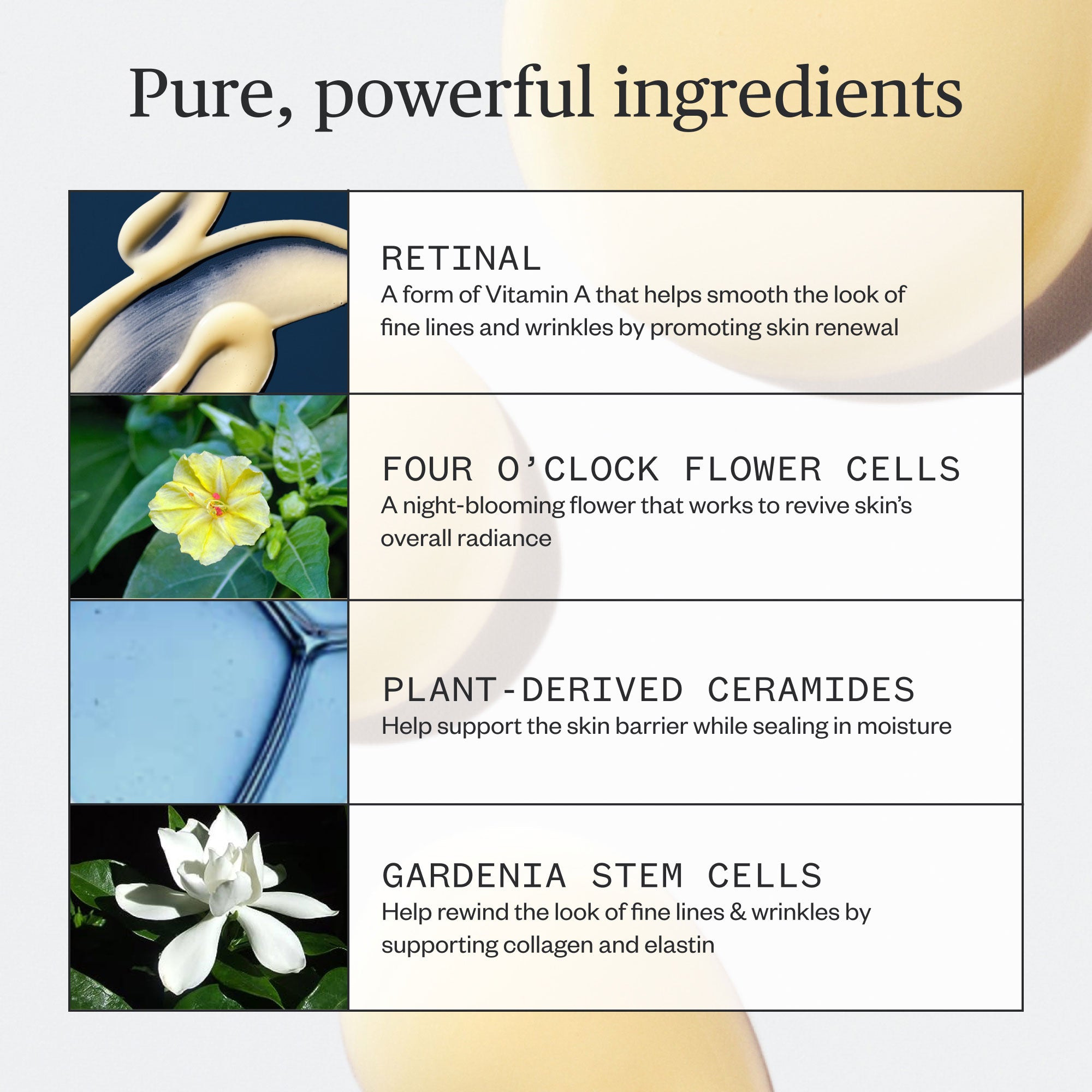 Ursa Major-Lunar Bloom Retinal Serum-Skincare-Lunar-Bloom-Retinal-Serum-10a-The Detox Market | 