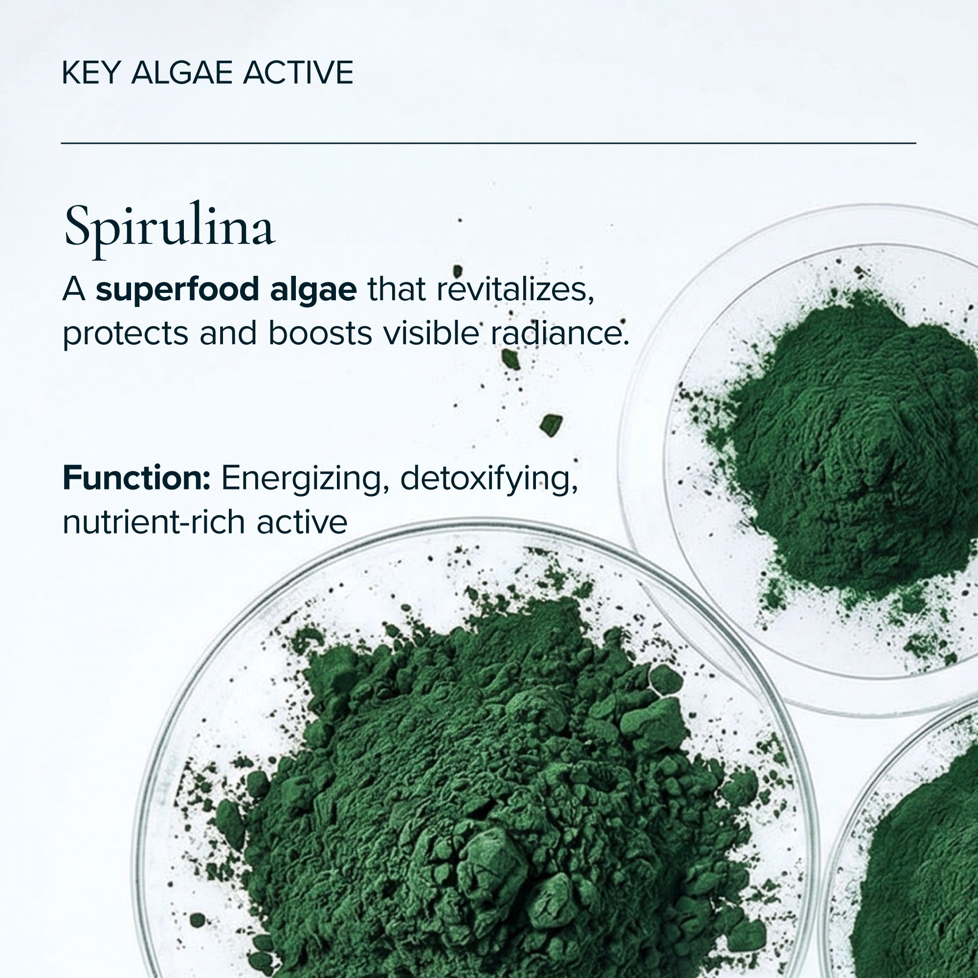 MARA-Chia + Moringa® Algae Enzyme Cleansing Oil-Skincare-MARA-AECO-120_11-The Detox Market | 