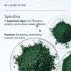 MARA-Chia + Moringa® Algae Enzyme Cleansing Oil-Skincare-MARA-AECO-120_11-The Detox Market | 