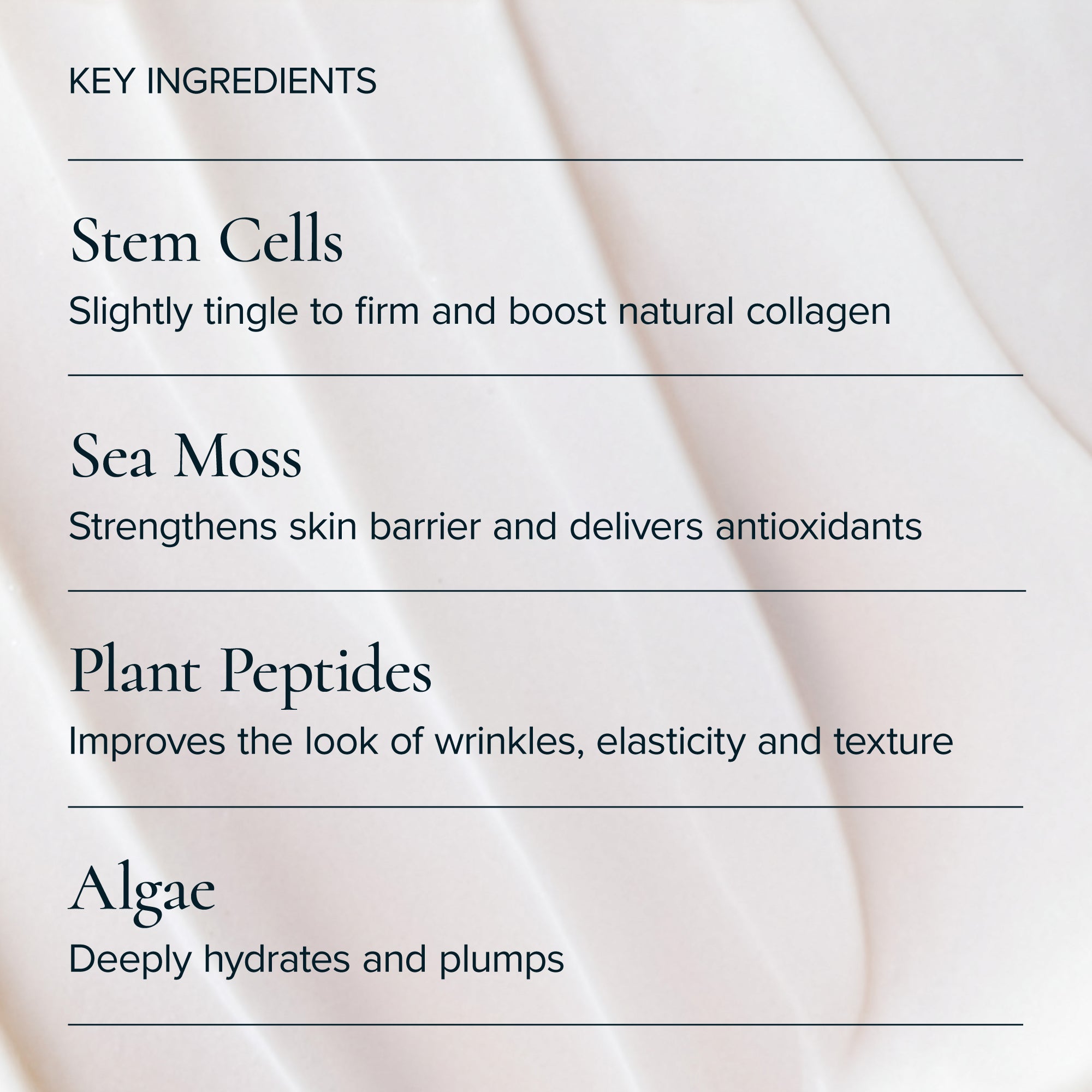MARA-Sea Moss + Stem Cells Seadream Firming Algae Créme-Skincare-MARA-SDAC-50_4_7a4d5138-5b24-4672-8cfa-442f5db3953f-The Detox Market | 