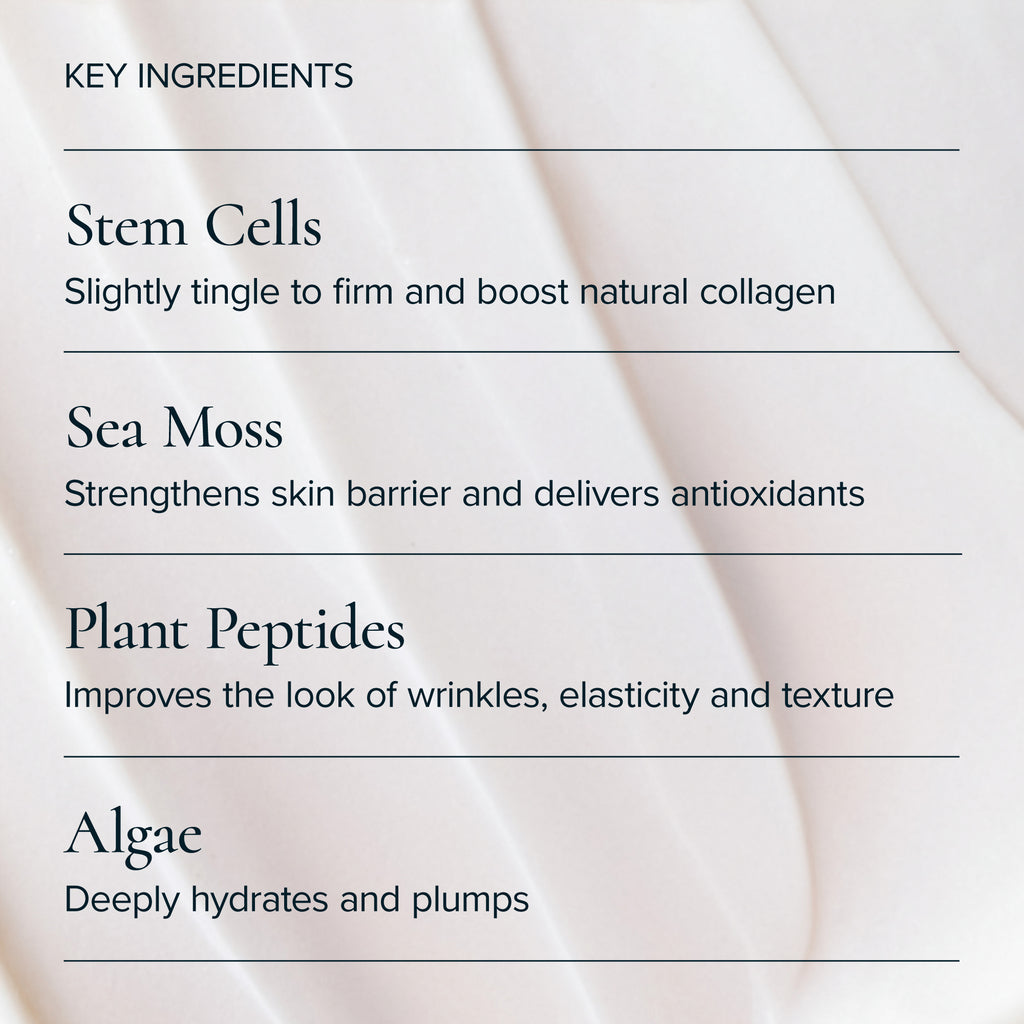 MARA-Sea Moss + Stem Cells Seadream Firming Algae Créme-Skincare-MARA-SDAC-50_4_7a4d5138-5b24-4672-8cfa-442f5db3953f-The Detox Market | 