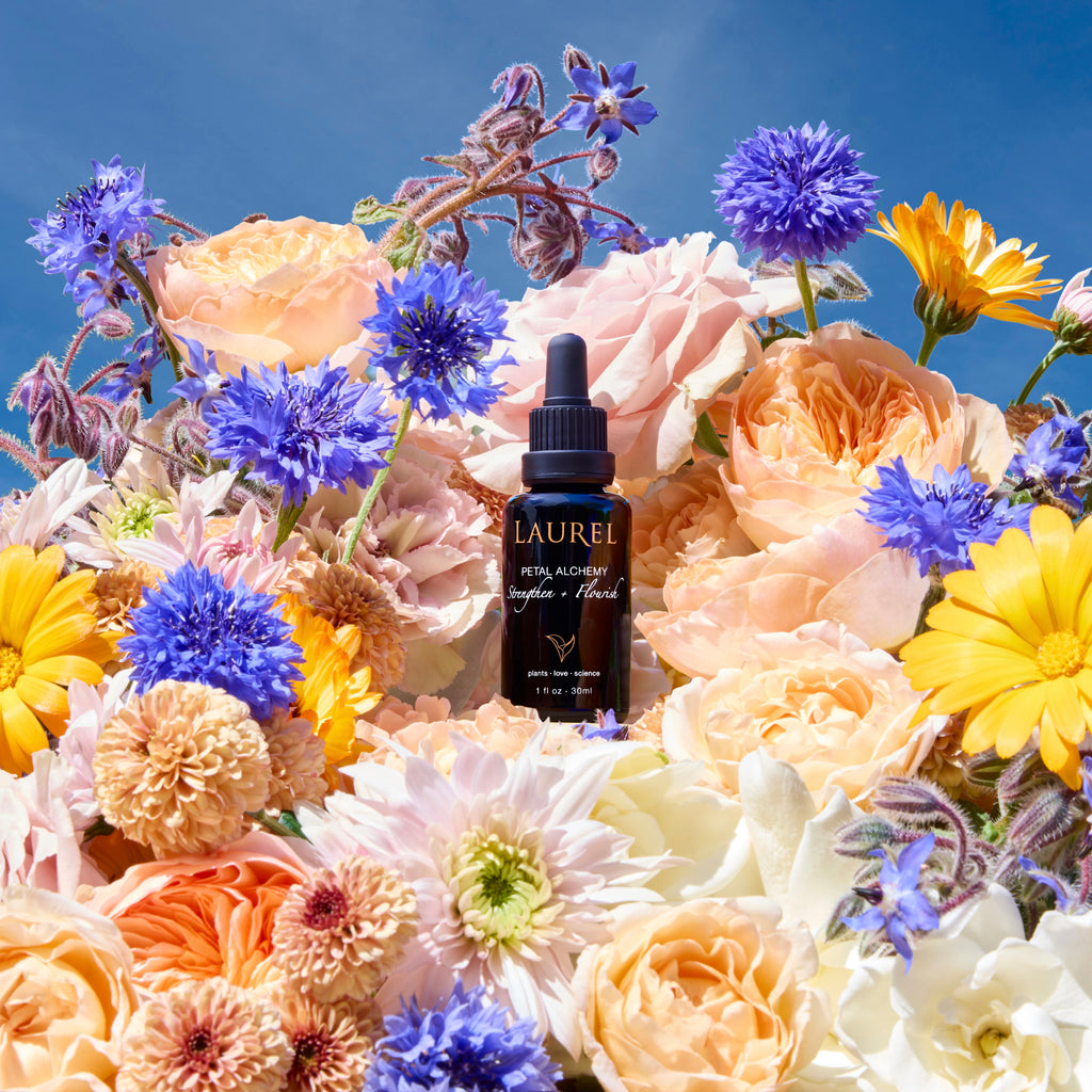 Laurel Skin-Petal Alchemy: Strengthen + Flourish-Skincare-PetalAlchemy_6fb090c8-506d-42fc-9d46-7dfce6953db1-The Detox Market | 