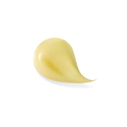 True Botanicals-Ginger Turmeric Hydraglow Cream-Skincare-S-W-D-GTGC-R-2_1e7598f8-8184-4608-848b-6676db45c7cf-The Detox Market | 