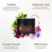 True Botanicals-Renew Chebula Extreme Cream-Skincare-S-W-D-JETM-R-8_ee433a27-b5dc-4201-bfaa-a7a1669954b6-The Detox Market | 