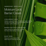 True Botanicals-Moisture Lock Overnight Mask-Skincare-S-W-D-MSLK-R-9-The Detox Market | 