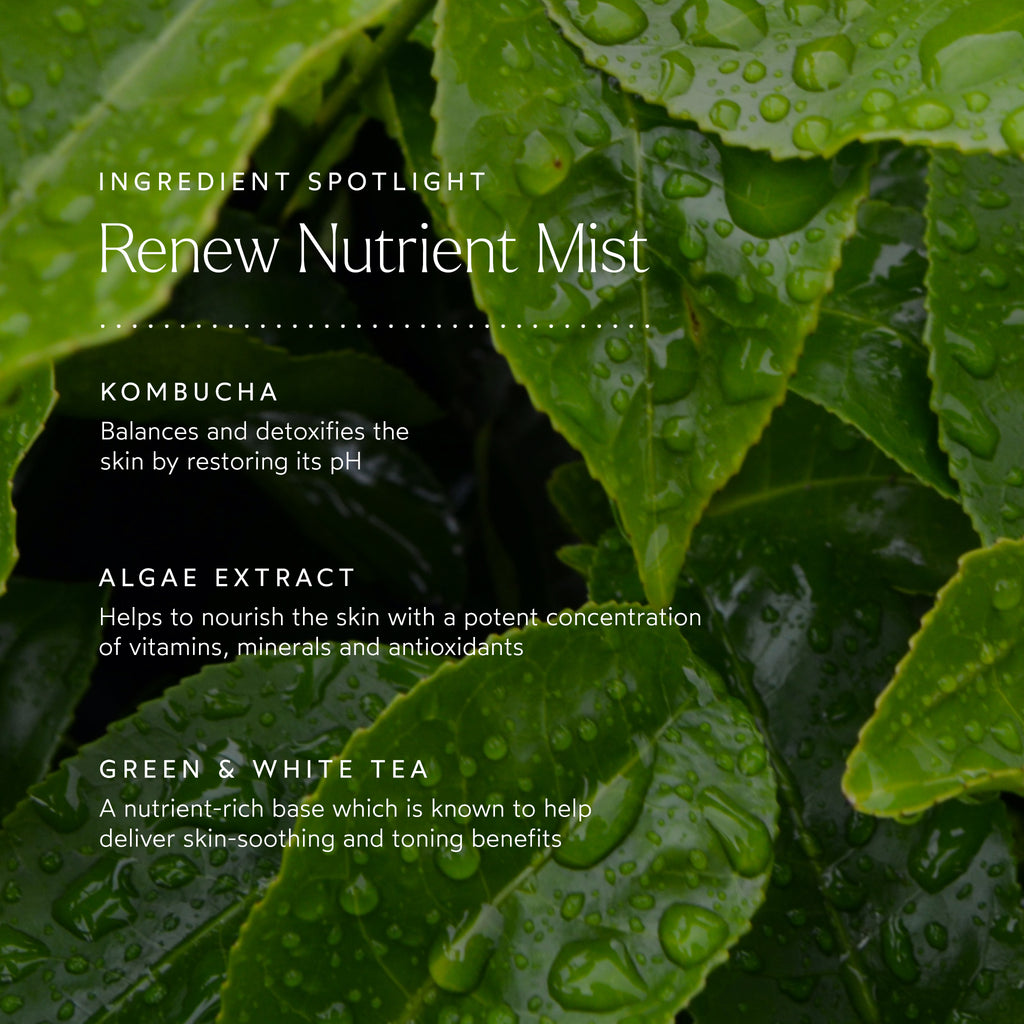 True Botanicals-RENEW Nutrient Mist-Skincare-S-W-D-RM50-R-5-The Detox Market | 