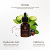 True Botanicals-RENEW Chebula Active Serum-Skincare-S-W-D-RSIS-R-10_598553b6-19a2-4aea-87c2-82da9d60bd0b-The Detox Market | 