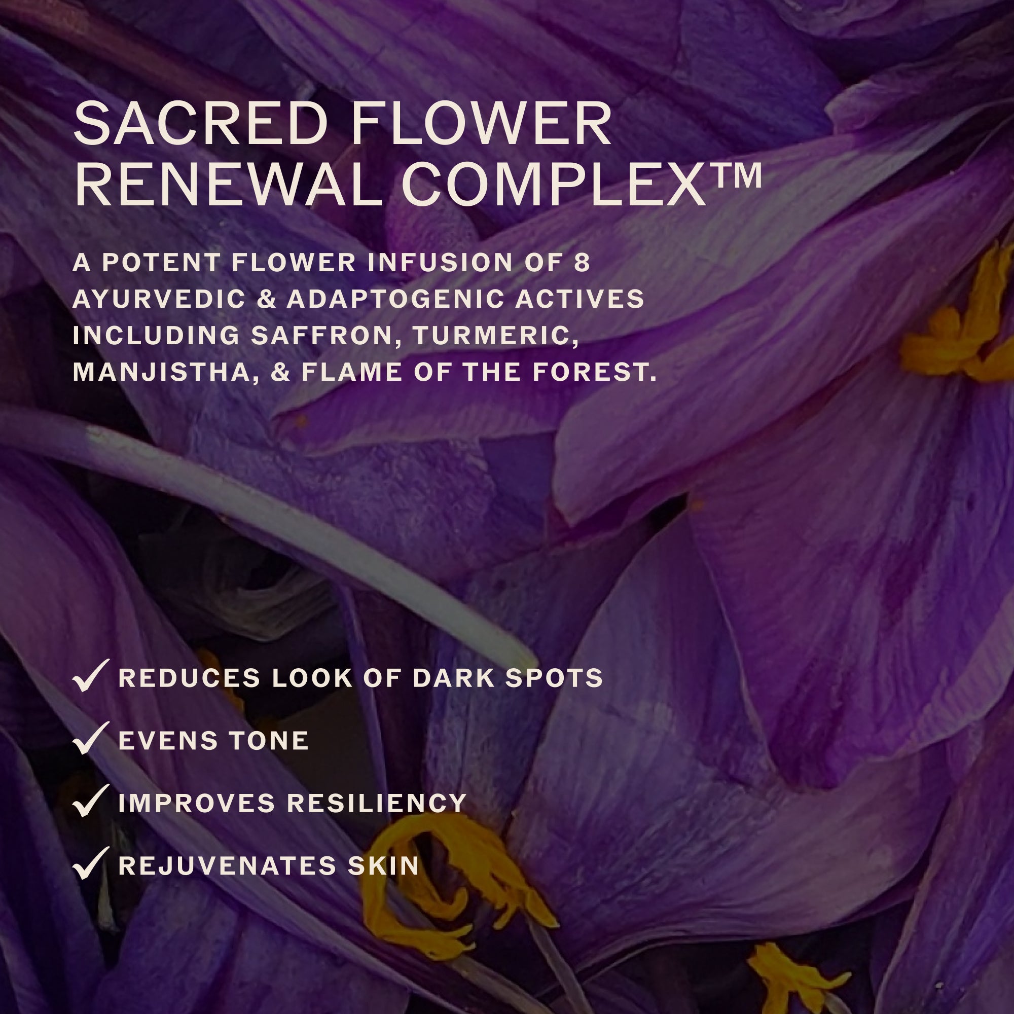 Sahajan-Sacred Flower Face Oil-Skincare-Sacred-Flower-Face-Oil-05_1f36c552-0972-49cd-bd7c-b937d8584d6f-The Detox Market | 