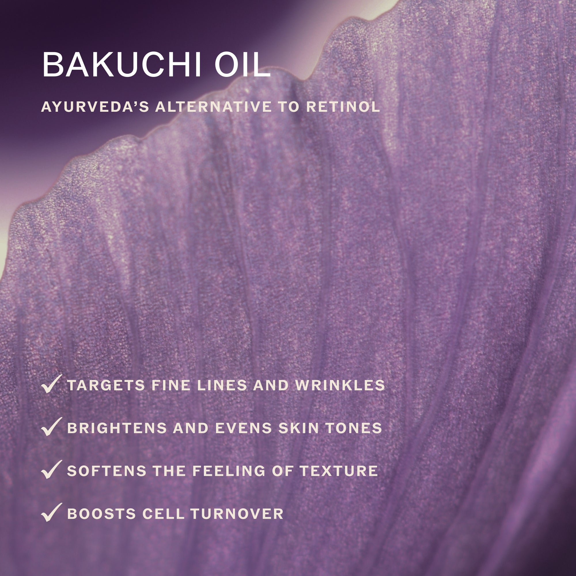 Sahajan-Sacred Flower Face Oil-Skincare-Sacred-Flower-Face-Oil-06_23e8f431-f723-486b-a94d-8cd94ce9889c-The Detox Market | 