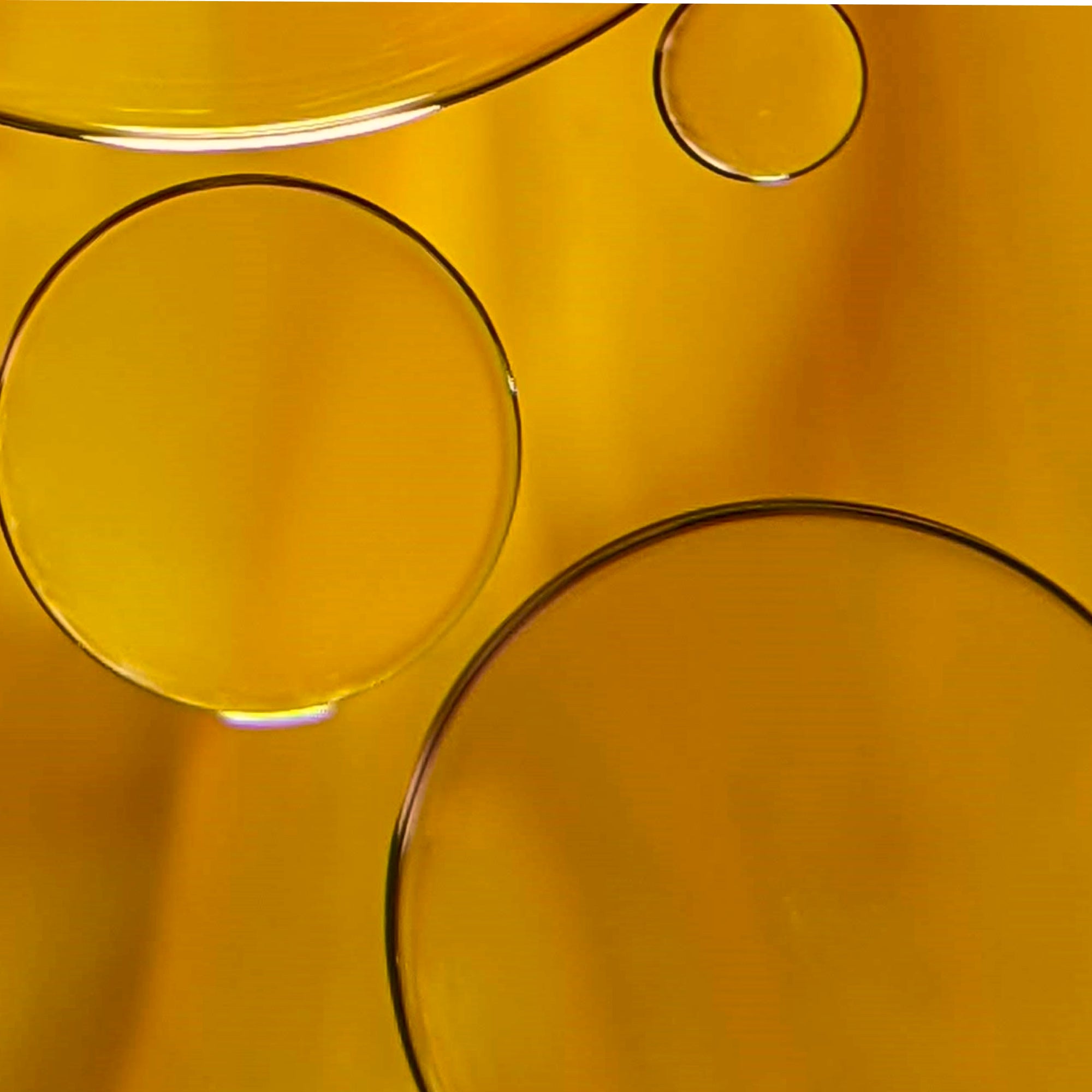 Sahajan-Sacred Flower Face Oil-Skincare-Sacred-Flower-Face-Oil-08_a817706a-185d-4b56-b9d8-c95202cadb10-The Detox Market | 