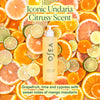 OSEA-Undaria Algae™ Body Wash-Body-UABW-1_Infographic04-The Detox Market | 