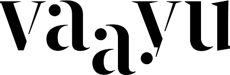 Vaayu-logo-_1-The Detox Market