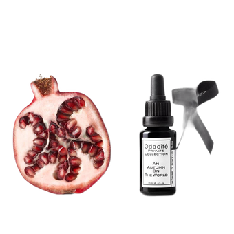 An Autumn On The World