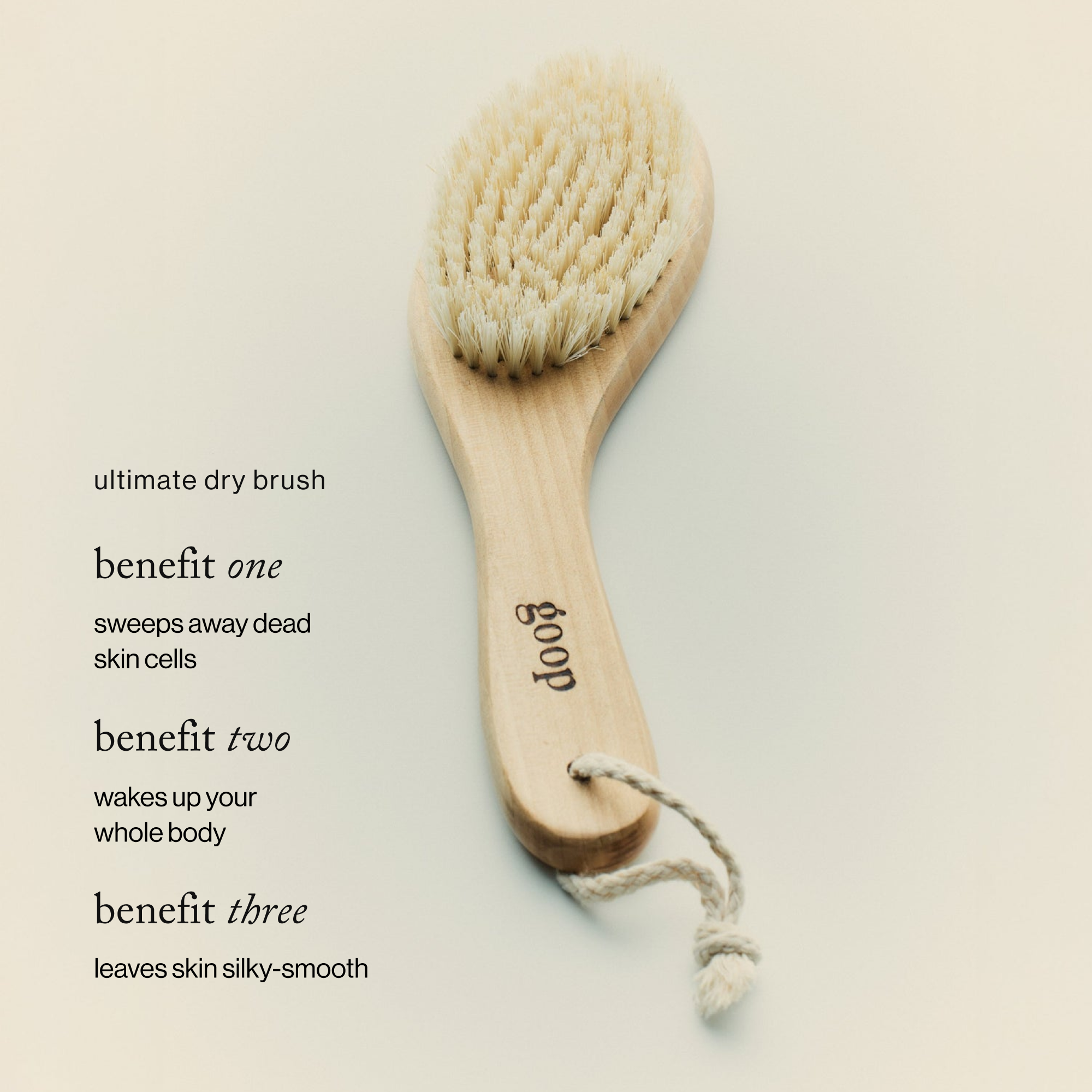 Goop-G.Tox Ultimate Dry Brush-Body-drybrush_imgCarousel_benefits1-The Detox Market | 