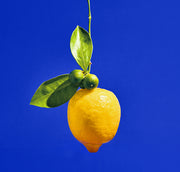 Heretic Parfum-Dirty Lemon Body Mist-Fragrance-lemon-1-The Detox Market | 