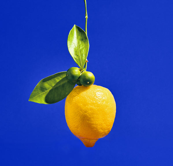 Heretic Parfum-Dirty Lemon Body Mist-Fragrance-lemon-1-The Detox Market | 