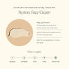 Wildcraft-Restore Face Cream-Skincare-restore_face_cream_infographic-The Detox Market | 