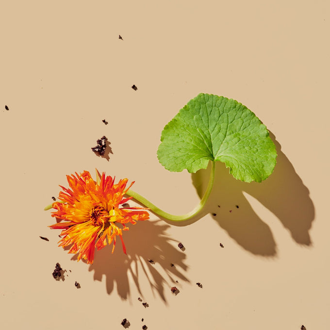 Tata Harper-Refining Cleanser-