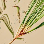 Tata Harper-Refining Cleanser-