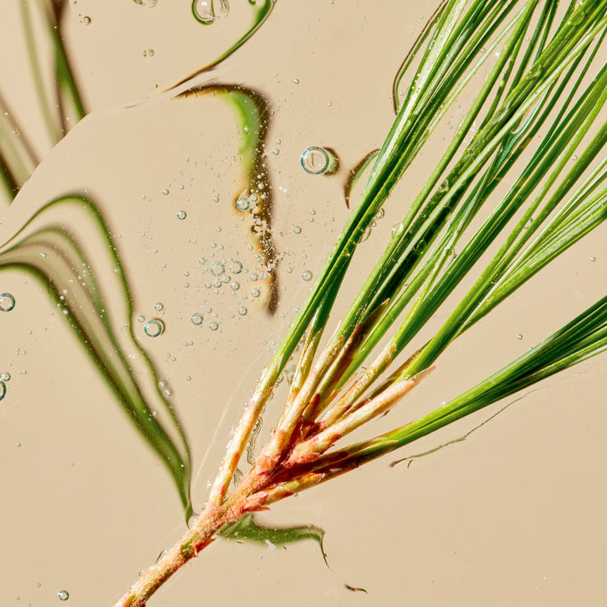 Tata Harper-Refining Cleanser-